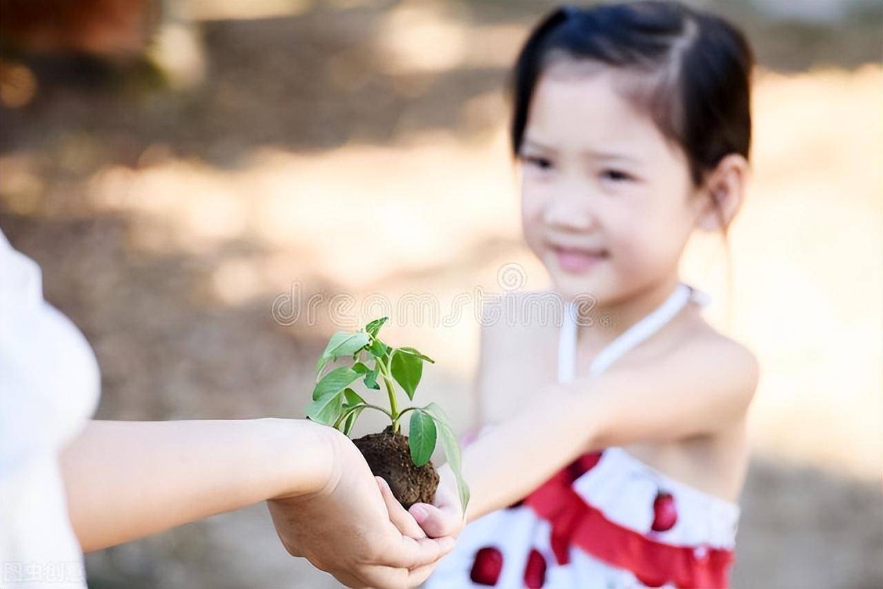 转继承的概念和适用范围（转继承的法律规定） 第5张