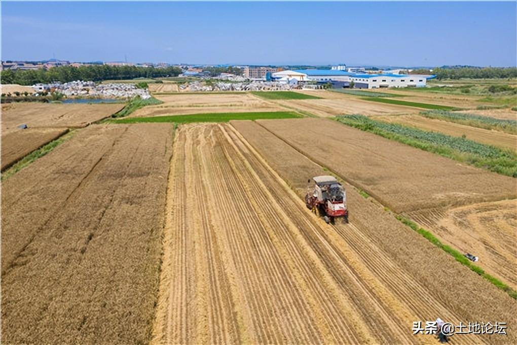 承包合同最长可以签多少年（个人土地承包合同期限规定） 第1张