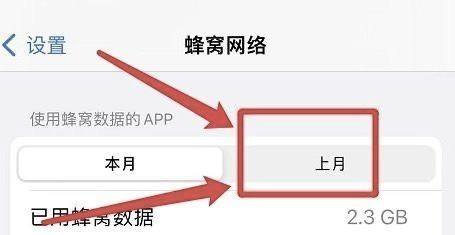 苹果手机怎么看流量使用情况（苹果查看本月已用流量情况的方法） 第3张