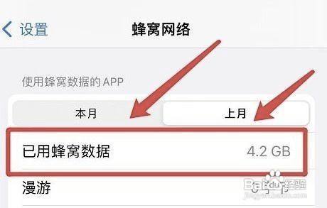 苹果手机怎么看流量使用情况（苹果查看本月已用流量情况的方法） 第5张