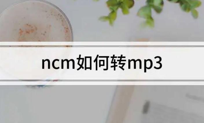 ncm怎么转换成mp3文件（ncm转mp3超简单教程来咯） 第1张