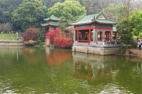 东莞十大具特色景点,东莞特色旅游景点排行榜前十 第11张