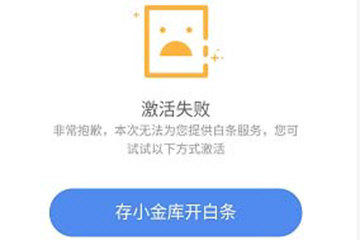 京东白条激活失败什么原因怎么办 开通不了解决方法 第1张