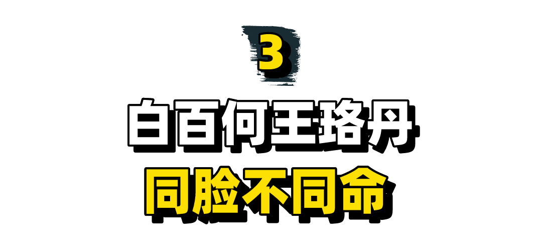 白百何：因“一指弹”事件星途陨落，跌落神坛被王珞丹明嘲暗讽 第51张