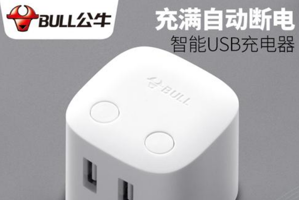 充电器十大品牌排行榜,充电器十大品牌 第17张