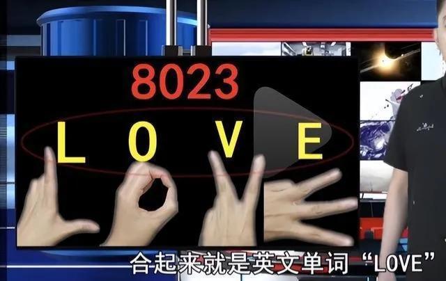 8023是什么意思啊（浅谈8203代表的爱情含义） 第7张