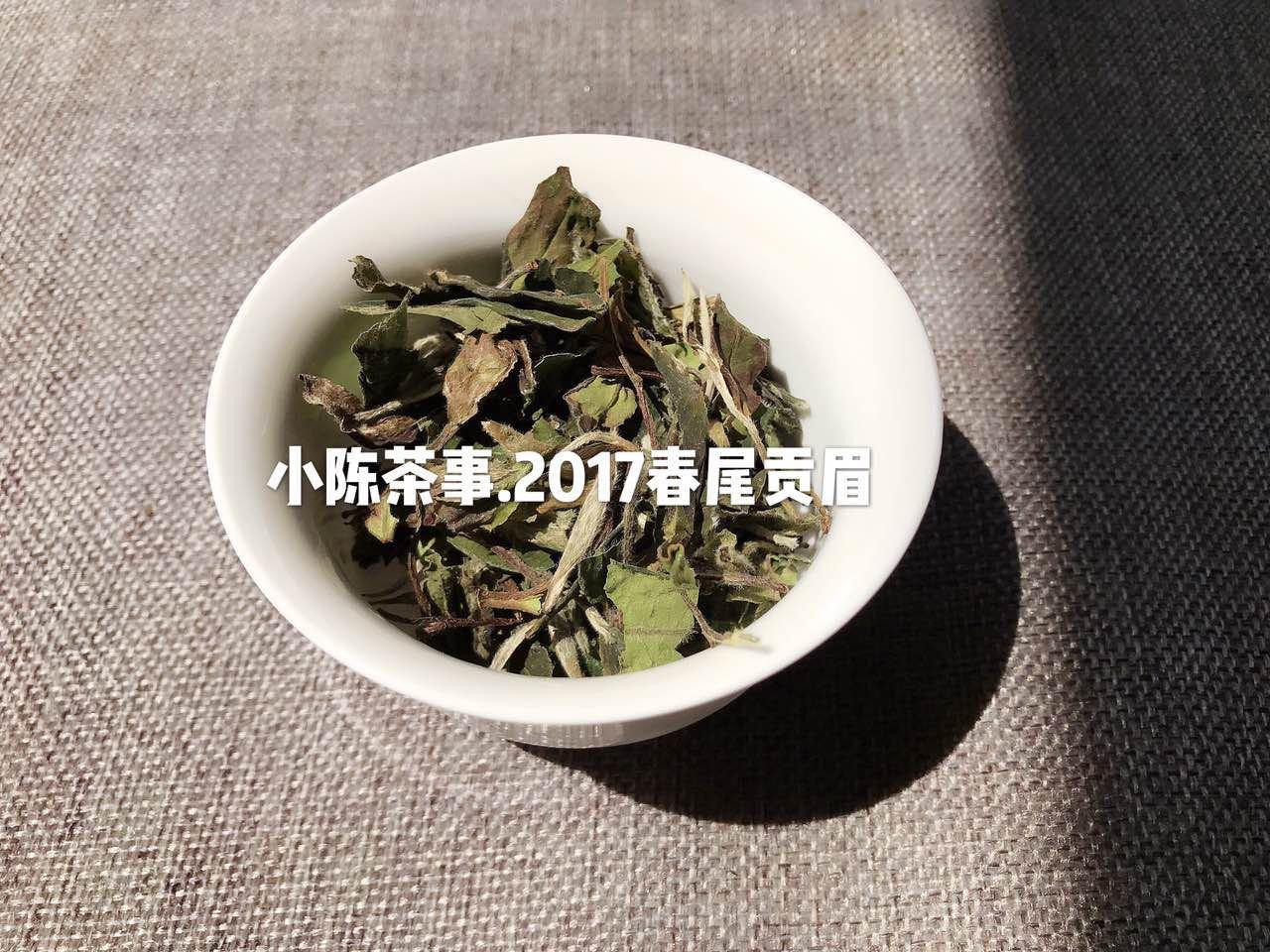 珍稀白茶和安吉白茶区别是啥（教你从4个方面分辨两种茶的差异） 第1张