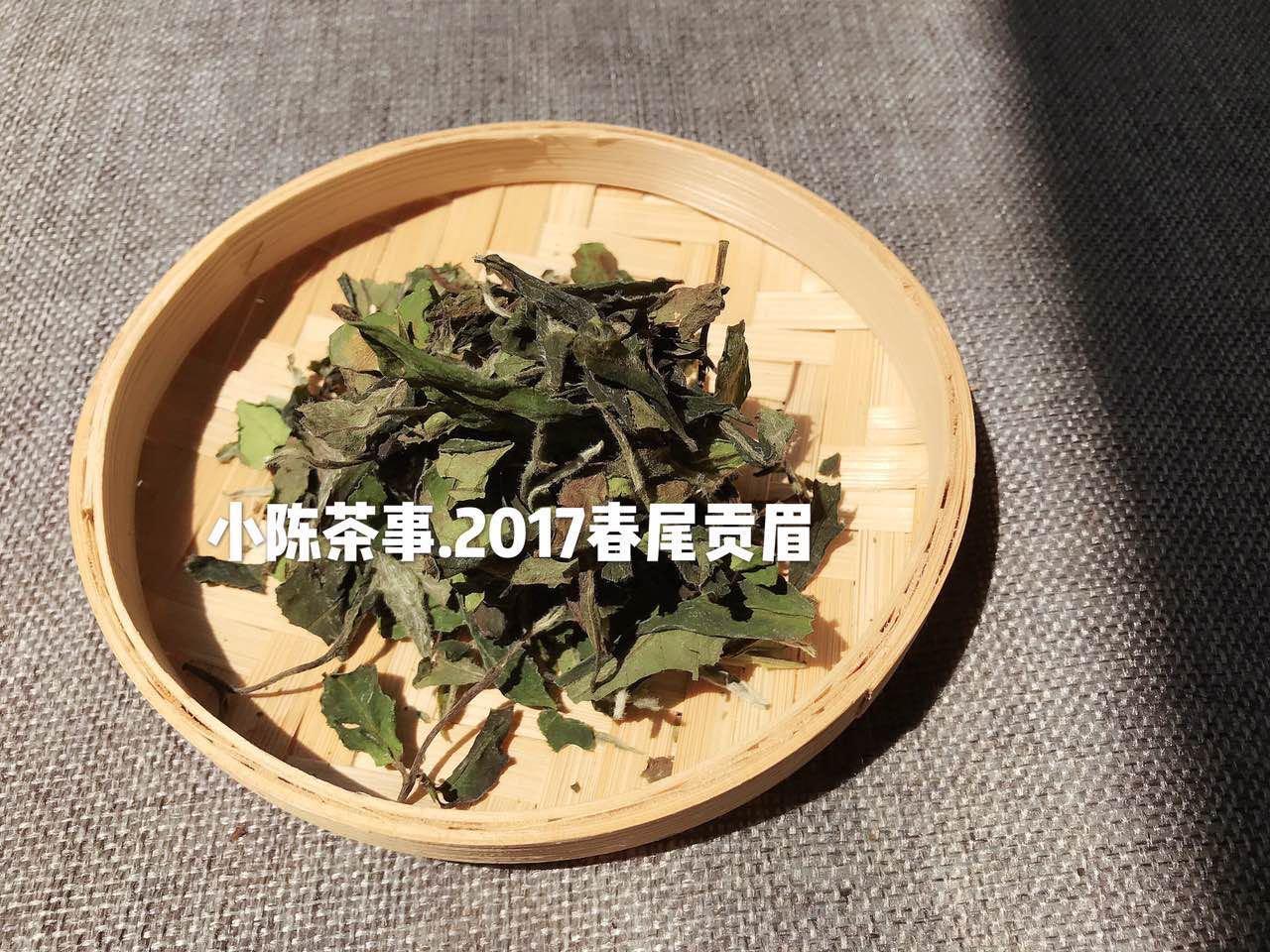 珍稀白茶和安吉白茶区别是啥（教你从4个方面分辨两种茶的差异） 第3张