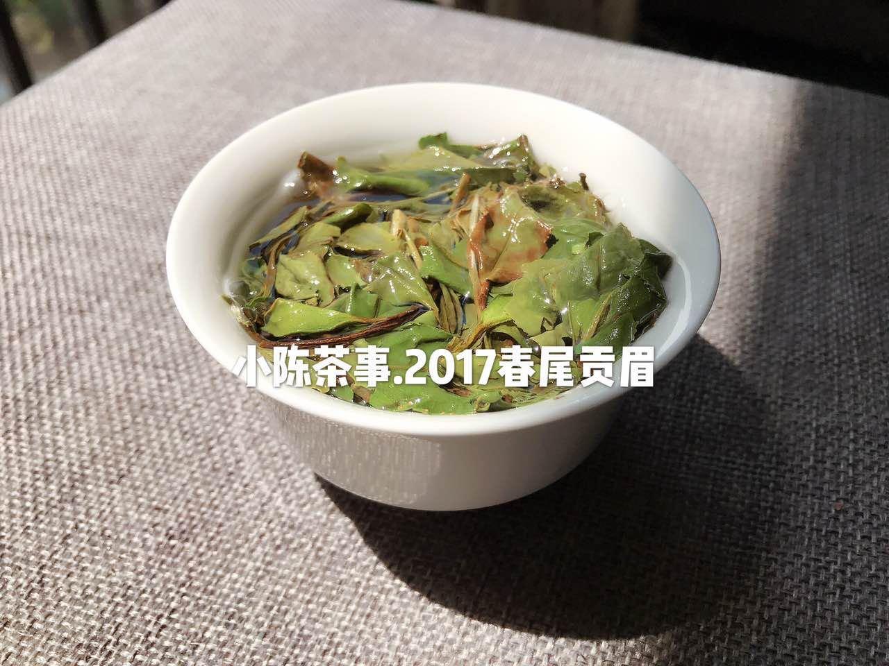 珍稀白茶和安吉白茶区别是啥（教你从4个方面分辨两种茶的差异） 第7张