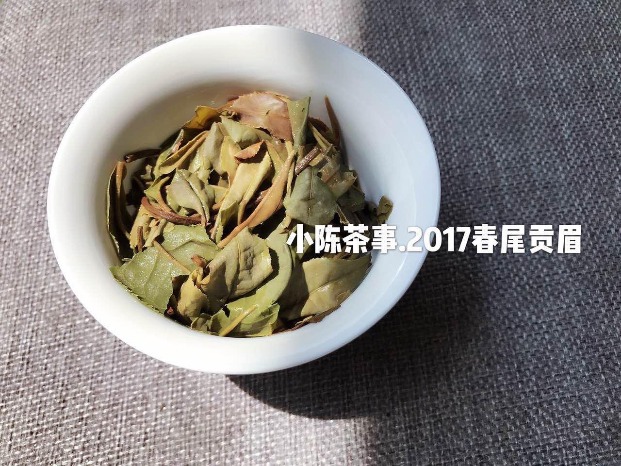 珍稀白茶和安吉白茶区别是啥（教你从4个方面分辨两种茶的差异） 第11张