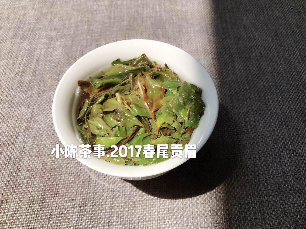 珍稀白茶和安吉白茶区别是啥（教你从4个方面分辨两种茶的差异） 第5张