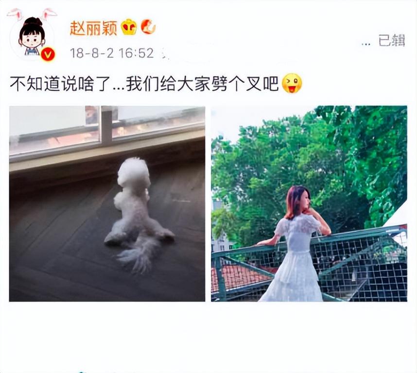 赵丽颖为什么和冯绍峰离婚？附：赵丽颖冯绍峰婚变真实原因 第37张