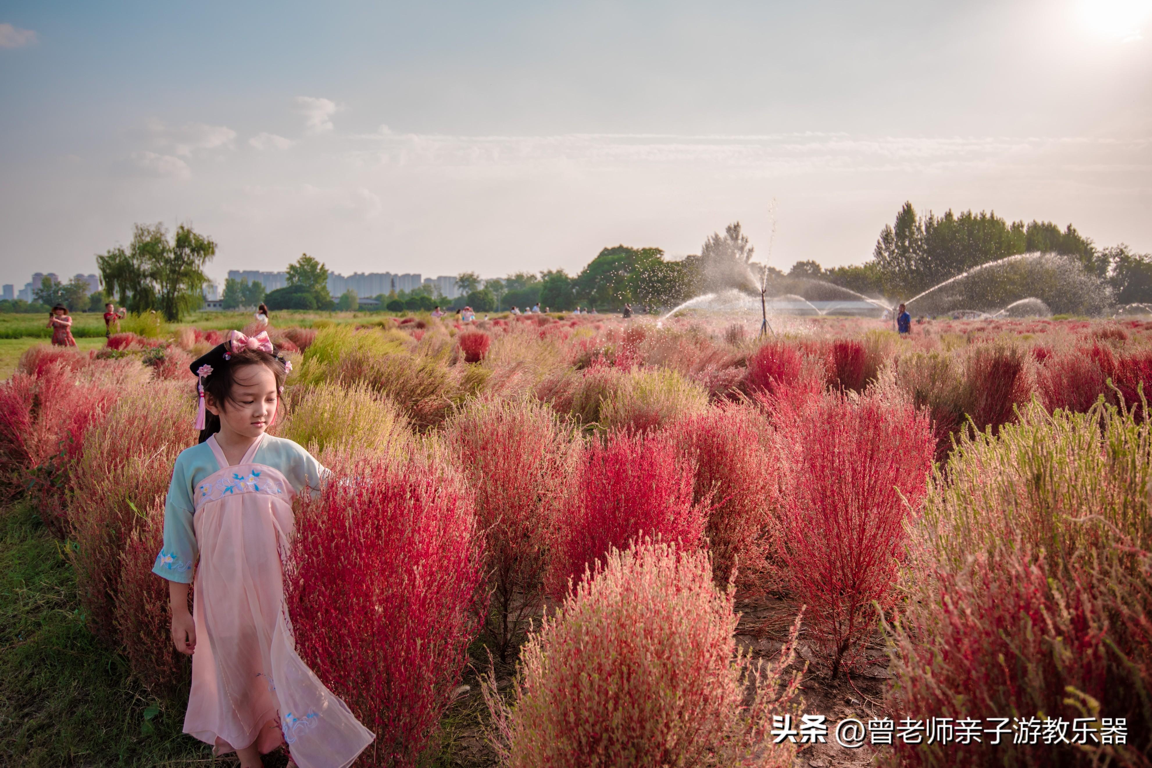 西安有什么好玩的地方或者景点（西安30个好玩景区介绍） 第31张