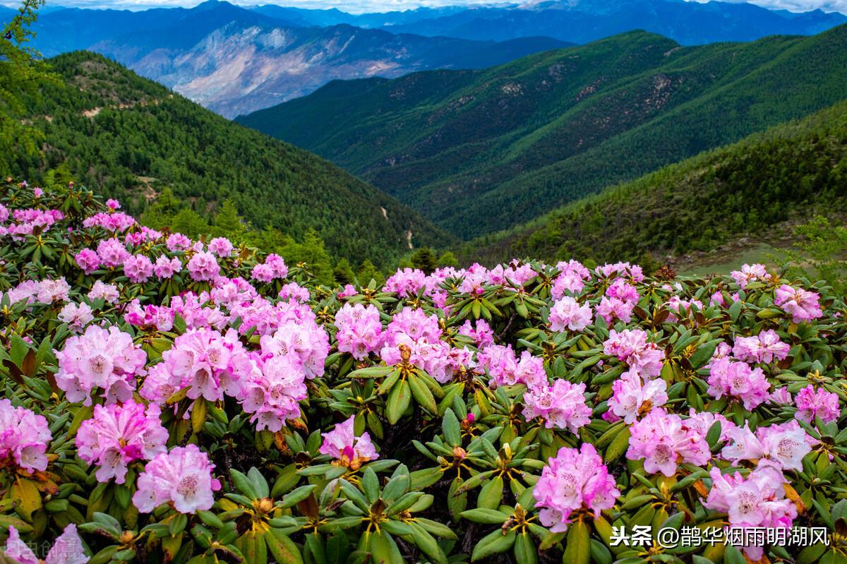 几月份去梵净山最好（浅谈梵净山四季景色特点） 第1张