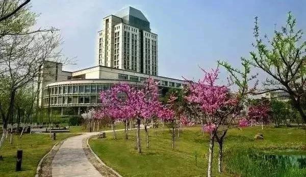 600分左右能上什么好的大学（600上下分数段高校推荐） 第57张