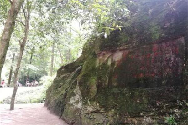 温州哪里好玩（温州这10处景点值得一去） 第1张