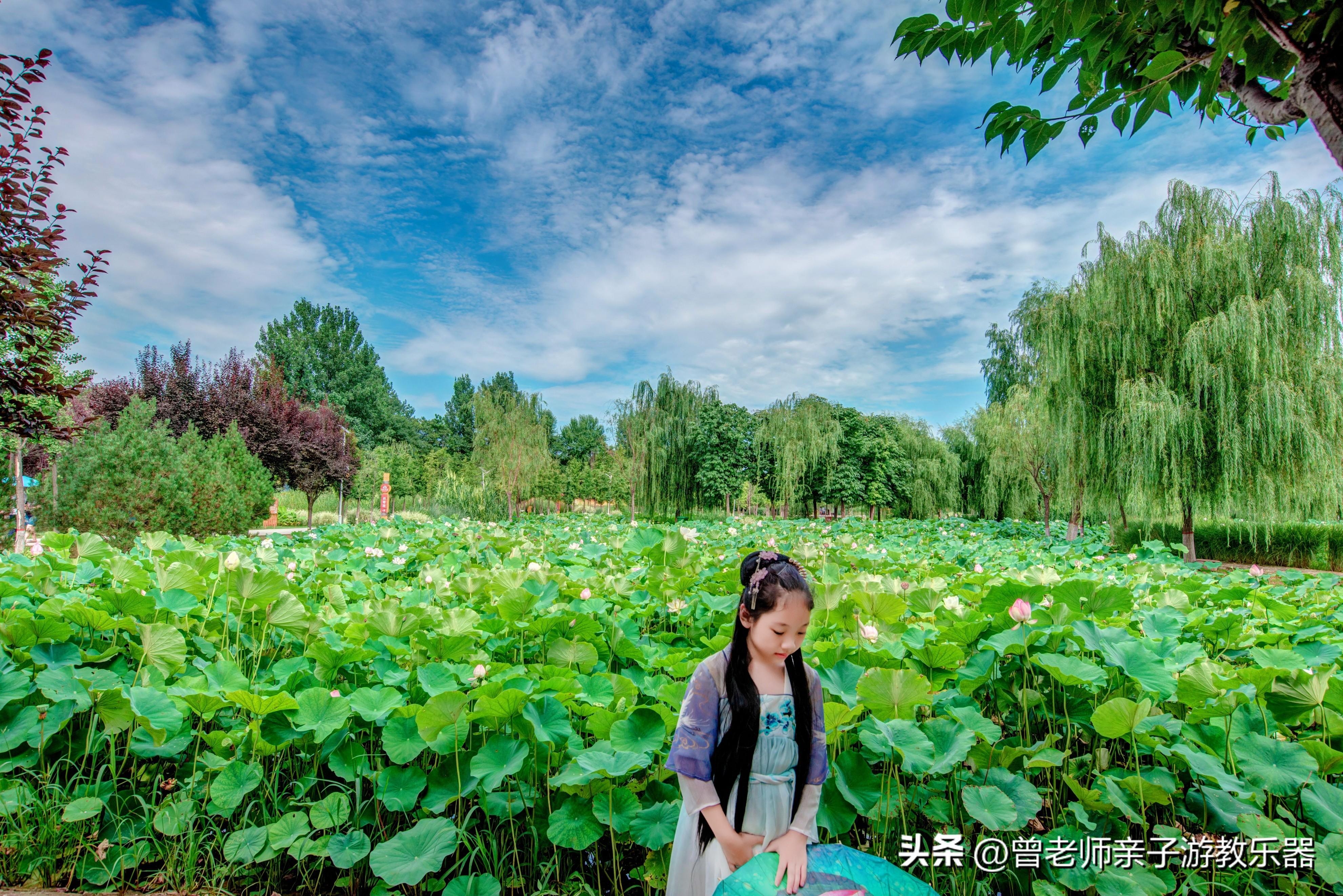 西安有什么好玩的地方或者景点（西安30个好玩景区介绍） 第89张