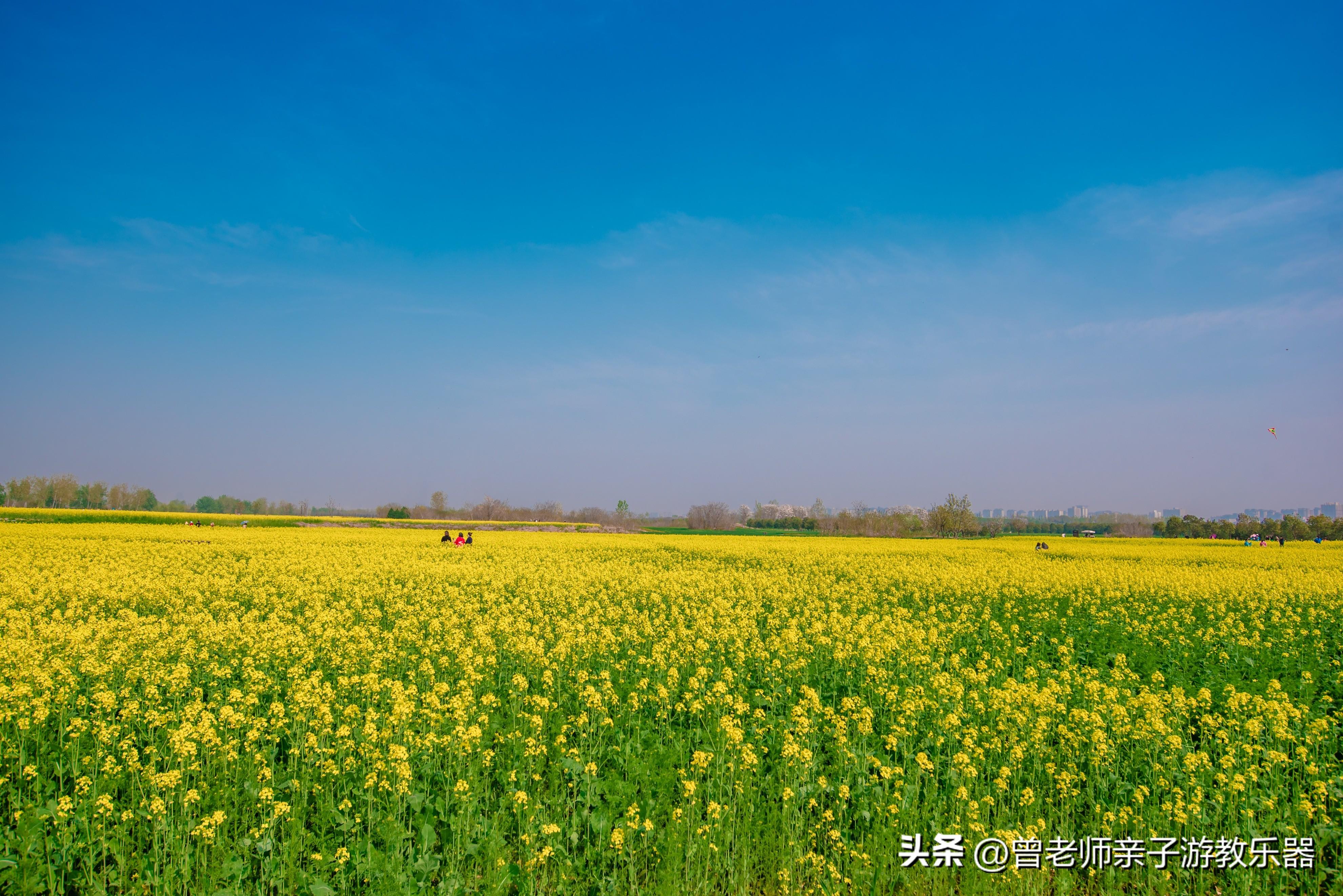 西安有什么好玩的地方或者景点（西安30个好玩景区介绍） 第29张