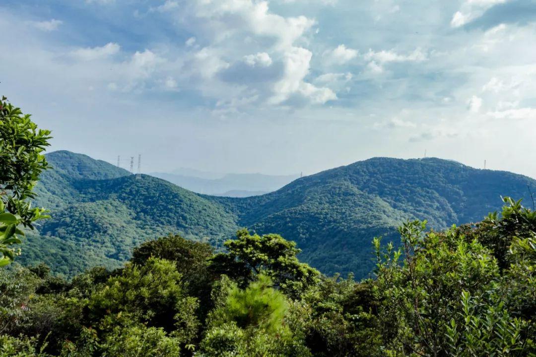 深圳旅游景点大全介绍（盘点深圳100个好玩的地方） 第119张