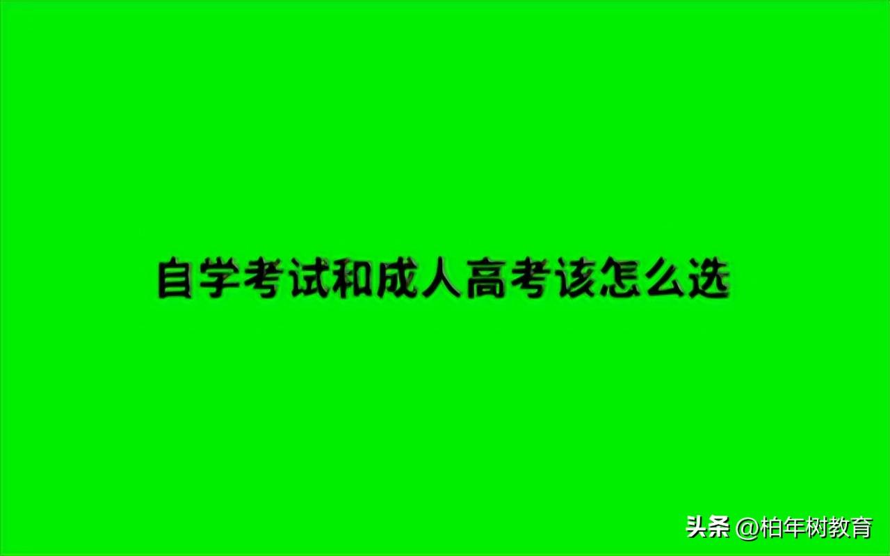 自考和成考有啥区别（到底怎么选，哪个含金量高） 第1张