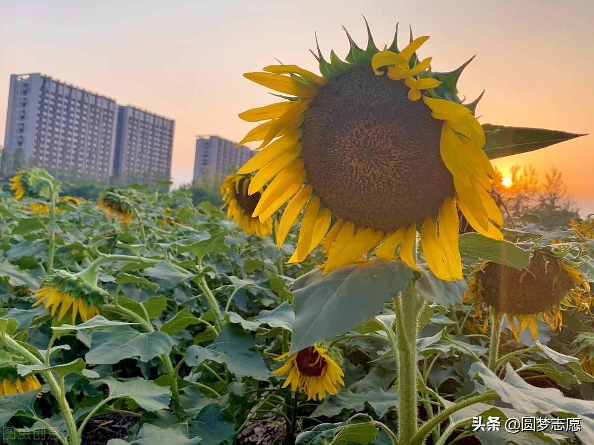 浙江工商大学是211吗（浙江工商大学算是名校） 第5张