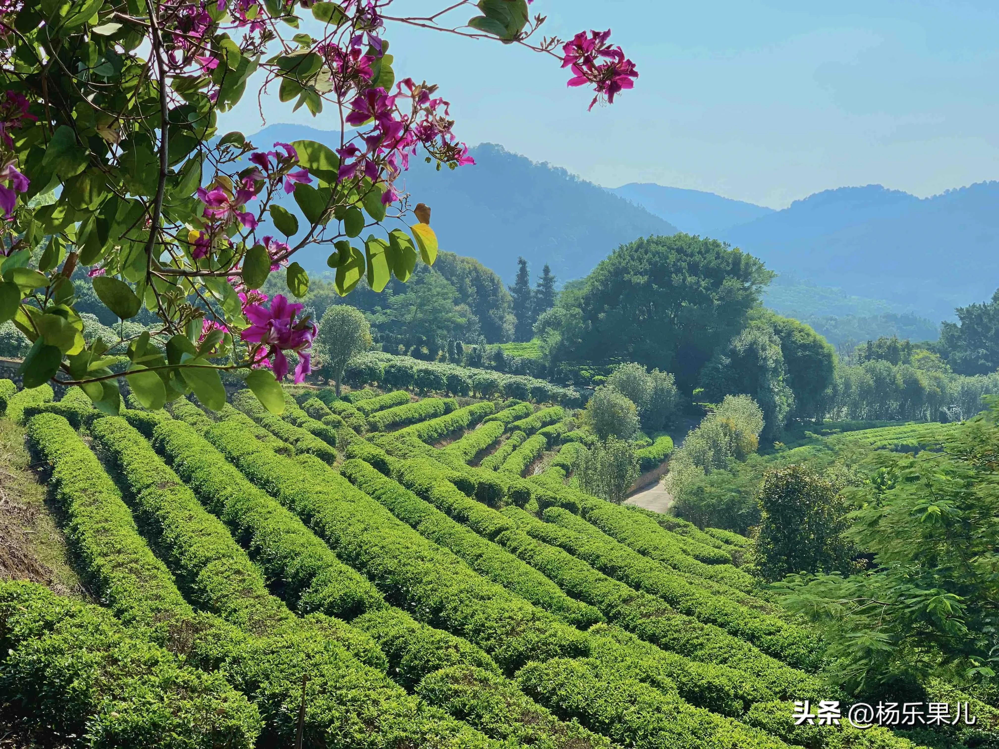 梅州旅游景点大全介绍 梅州最著名的十个景点 第3张