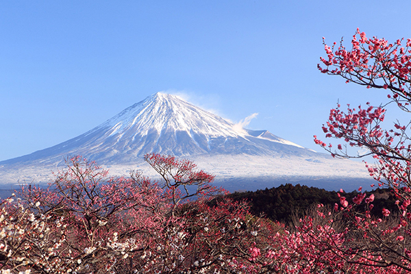 日本必去十大景点 日本值得去的景点排名前十 第7张