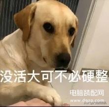 笔记本充满了要拔电吗（充满电的笔记本还一直插着电源对电池的伤害） 第17张