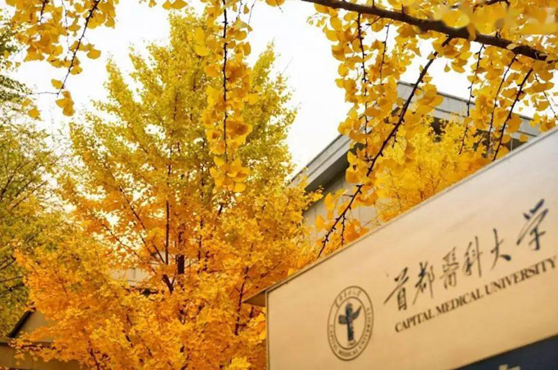 医科大学全国排名（中国最好的医科大学前十名） 第5张