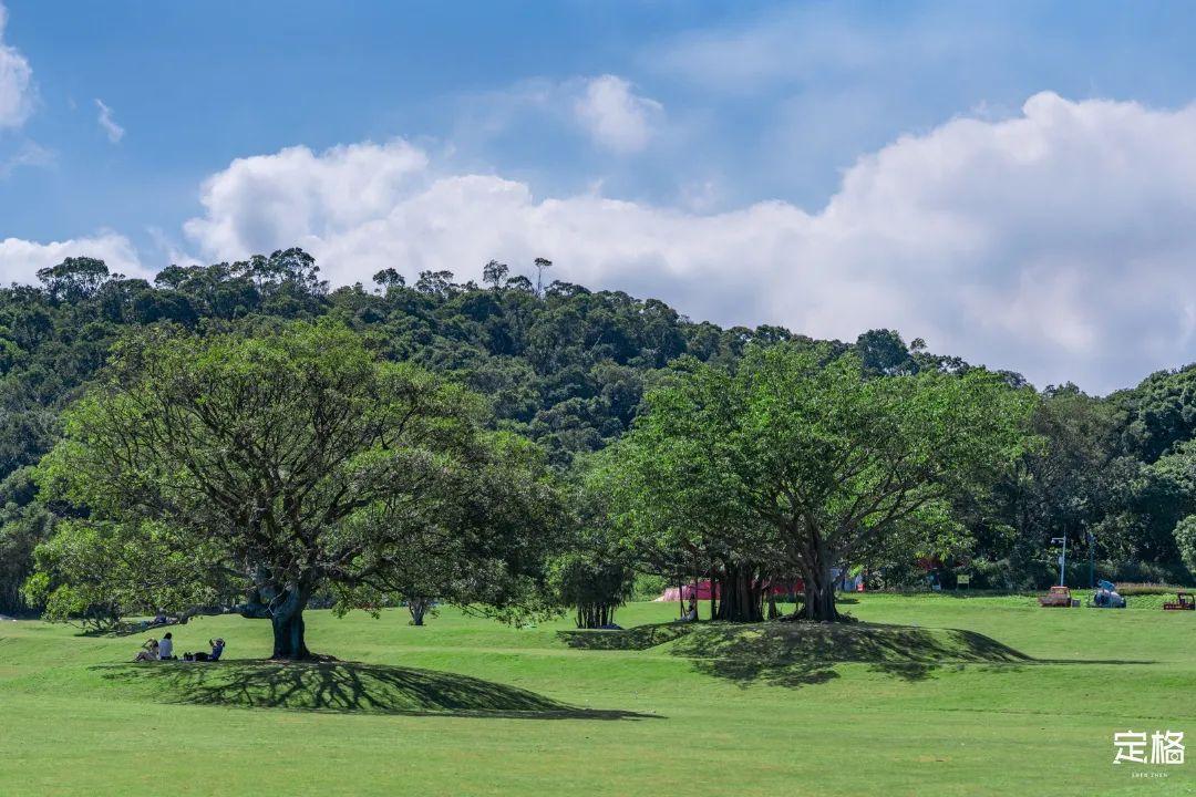 深圳旅游景点大全介绍（盘点深圳100个好玩的地方） 第145张