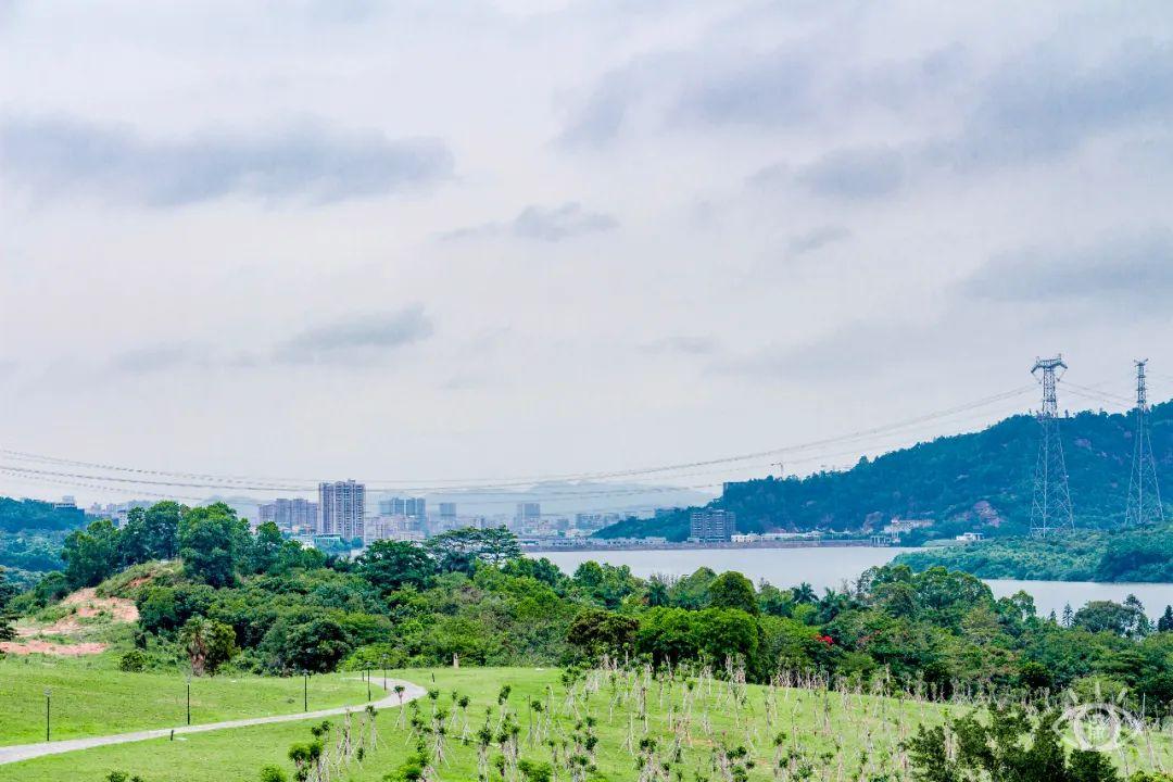 深圳旅游景点大全介绍（盘点深圳100个好玩的地方） 第79张