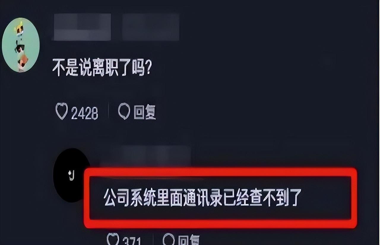 孟羽童个人资料简介（孟羽童如今现状解读） 第3张