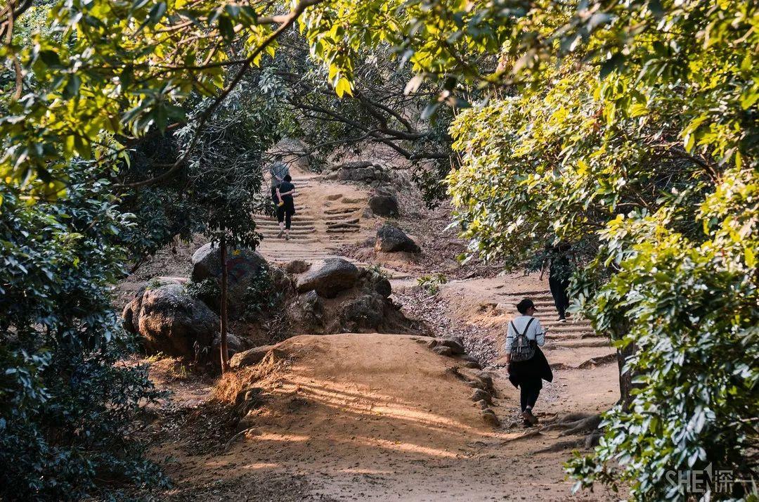 深圳旅游景点大全介绍（盘点深圳100个好玩的地方） 第43张