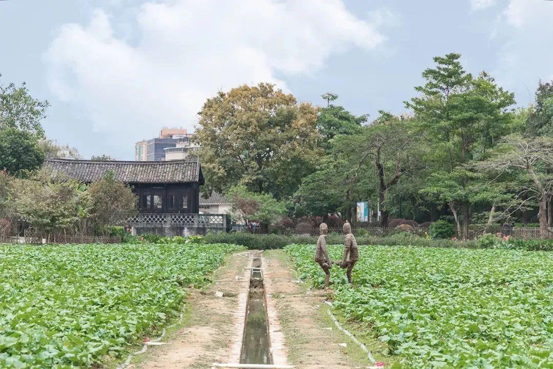 深圳旅游景点大全介绍（盘点深圳100个好玩的地方） 第161张