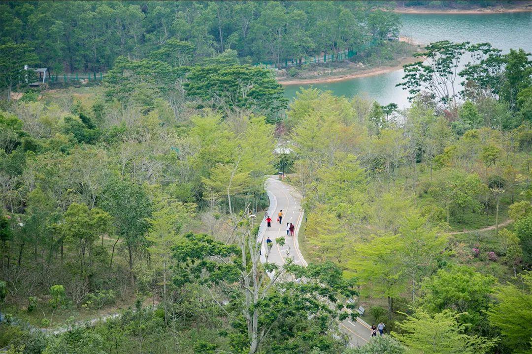 深圳旅游景点大全介绍（盘点深圳100个好玩的地方） 第167张