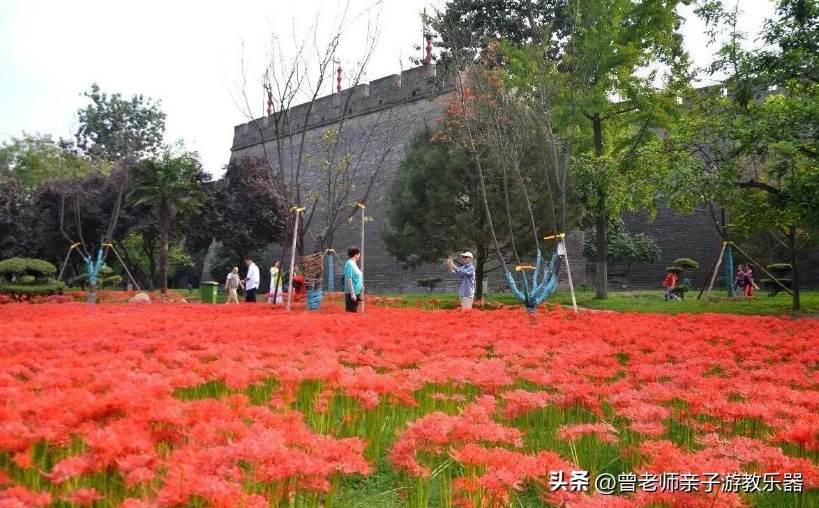 西安旅游必去景点推荐（附：西安旅游首选10大景区） 第49张