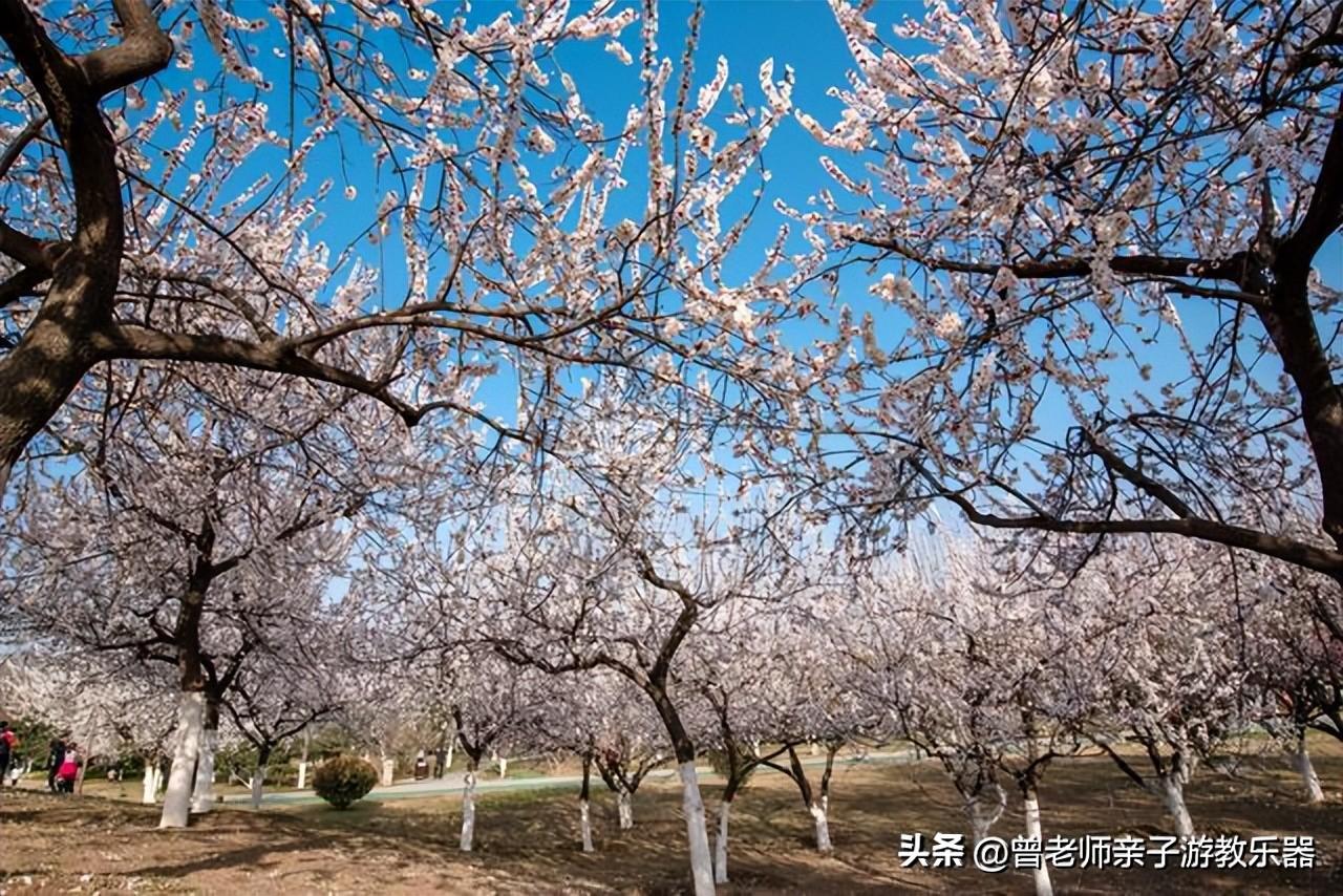 西安旅游必去景点推荐（附：西安旅游首选10大景区） 第141张