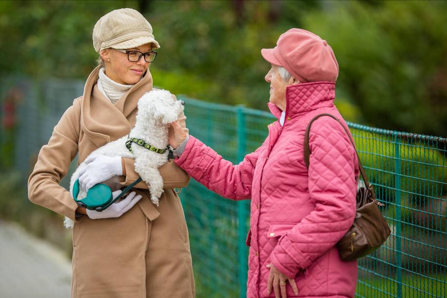 比熊犬好养吗？看看它的优缺点，就知道答案了 第7张