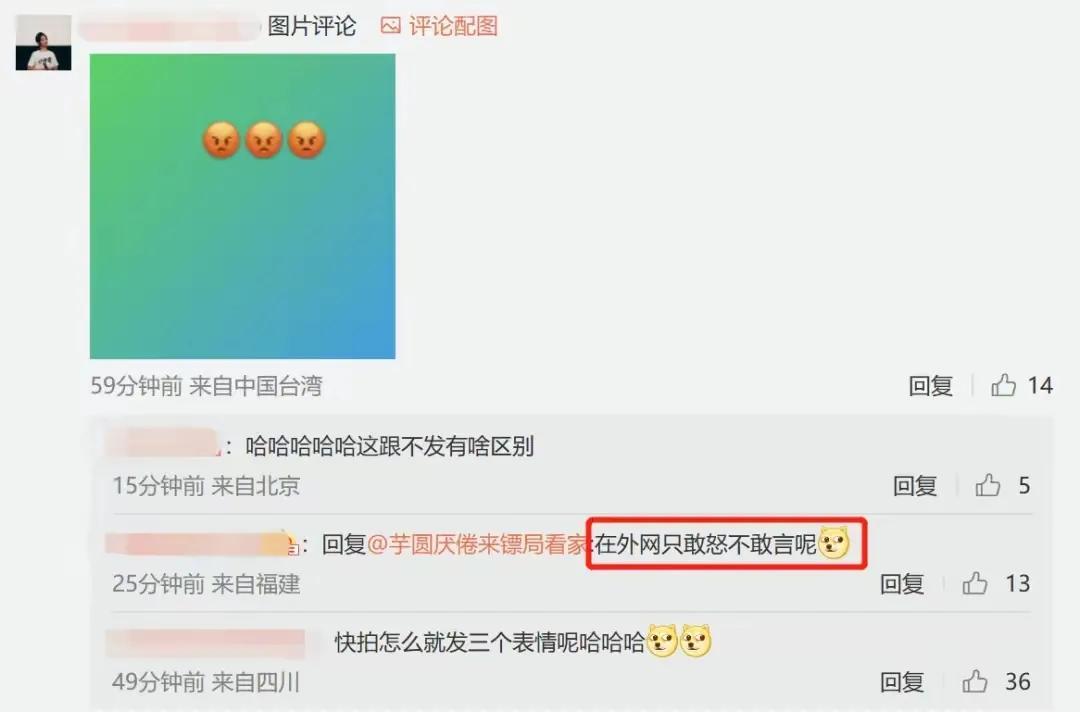 林心如事件是怎么回事（起底林心如口碑崩塌缘由） 第13张