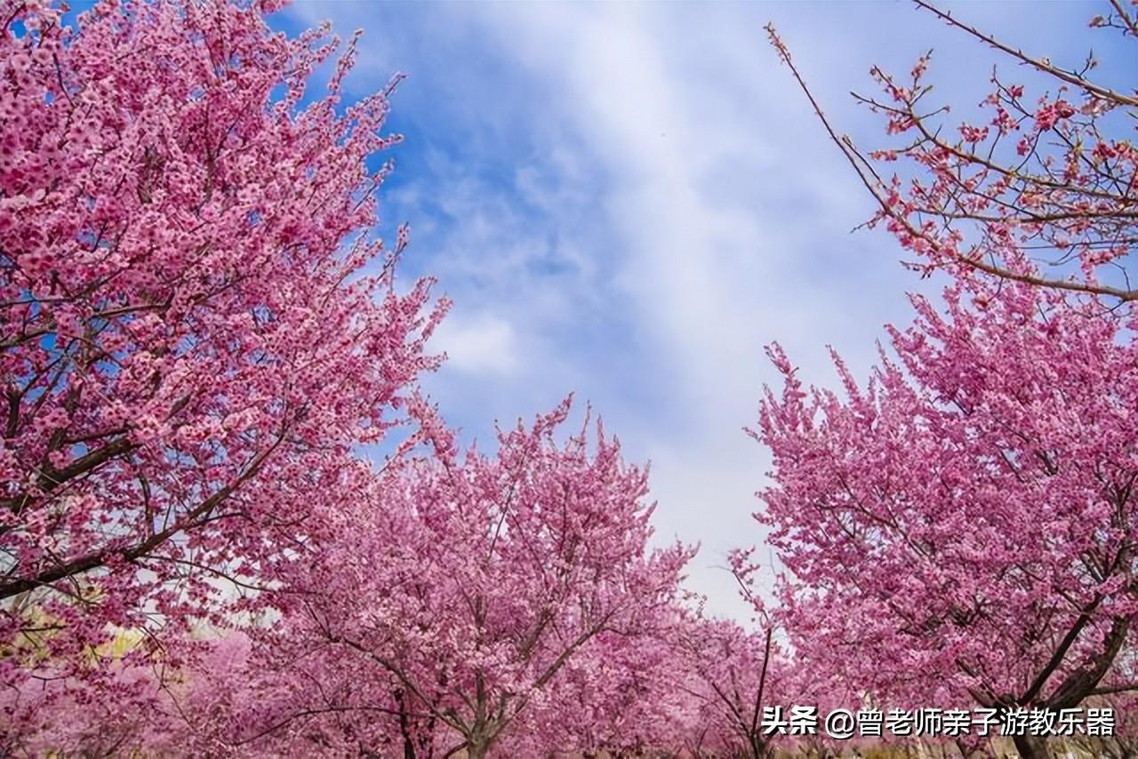 西安旅游必去景点推荐（附：西安旅游首选10大景区） 第135张