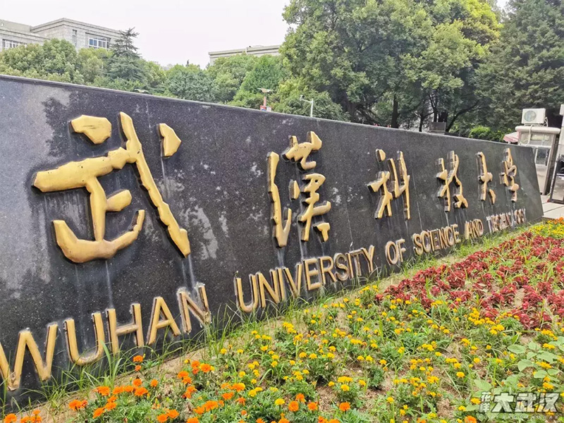 武汉科技大学是211吗还是985（武科大是什么档次） 第5张