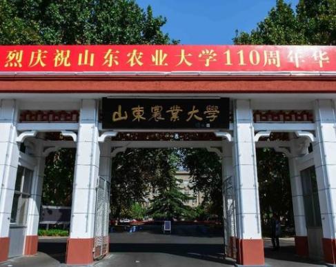 山东农业大学排名（山东农业大学是什么档次，是一本吗） 第7张