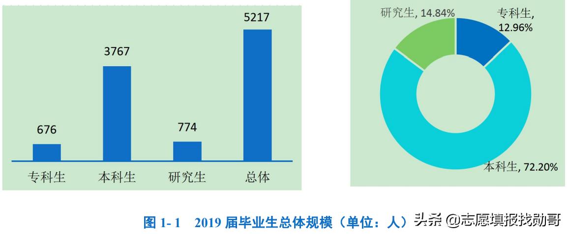 上海工程技术大学是一本还是二本（上海工程技术大学排名） 第23张