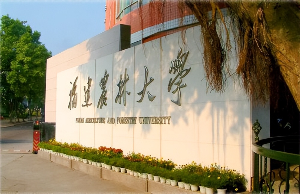 厦门大学全国排第几名（厦门大学是985吗） 第7张