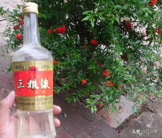 十大平民粮食酒（国内公认口感最好的良心白酒排名） 第19张