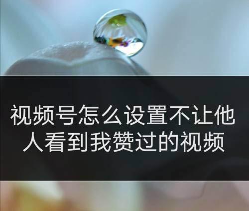 视频号点赞怎么不被朋友看到（微信视频号不让好友看点赞视频的方法） 第1张