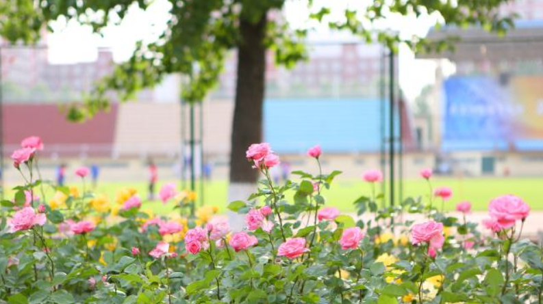 全国师范大学排名三十强（最好的师范类高校一览表） 第9张