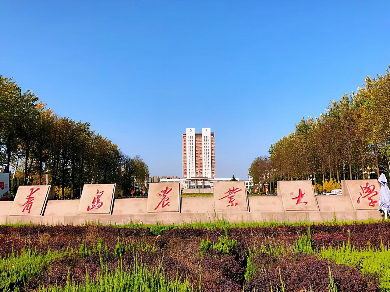 青岛的大学排名一览表（青岛所有公办大学名单列表） 第3张