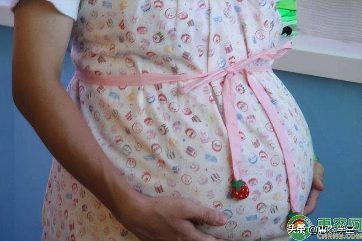 未婚生子可以领取生育津贴吗（生育津贴领取流程） 第1张