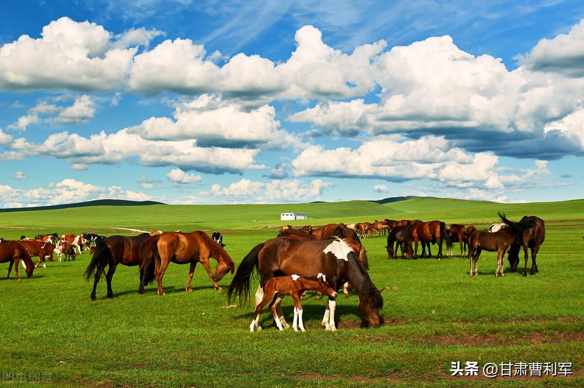 中国旅游胜地前十名排行榜城市（国内10大最美景区） 第39张